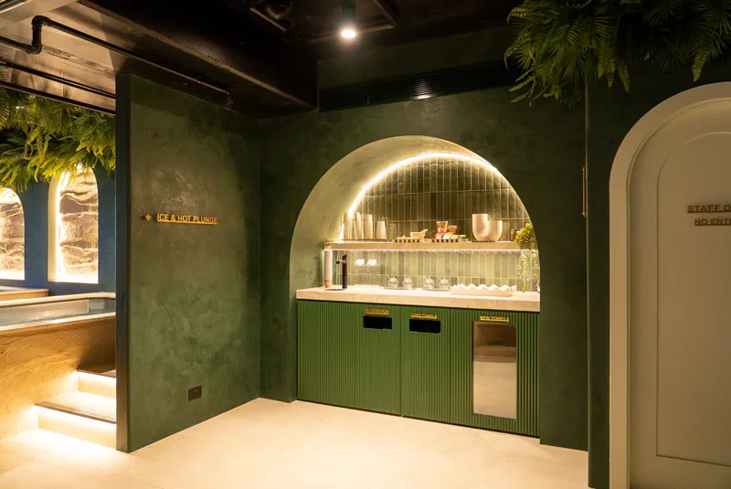 Venetian Plaster